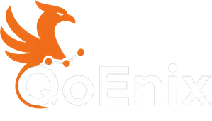 Qoenix - Helping Win Customers by Providing the Best Video quality of experience